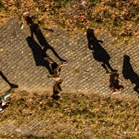 pathway being walked on